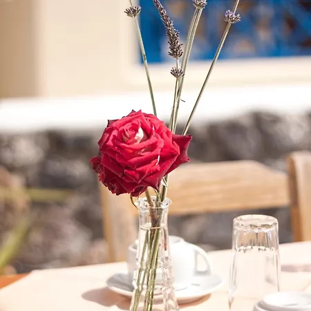 Hotel Anatoli &