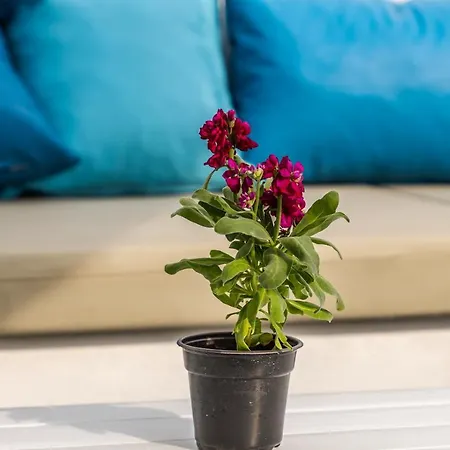 Casa Maritina Private Fira (Santorini)