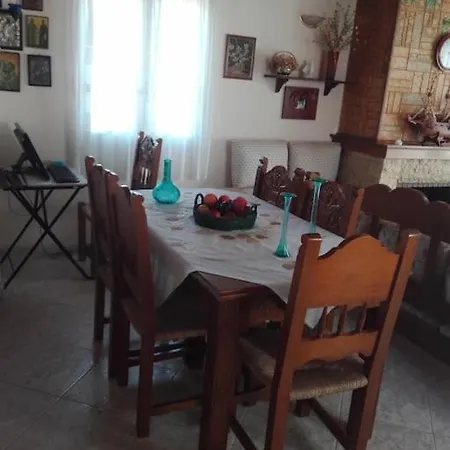 Pan Family House