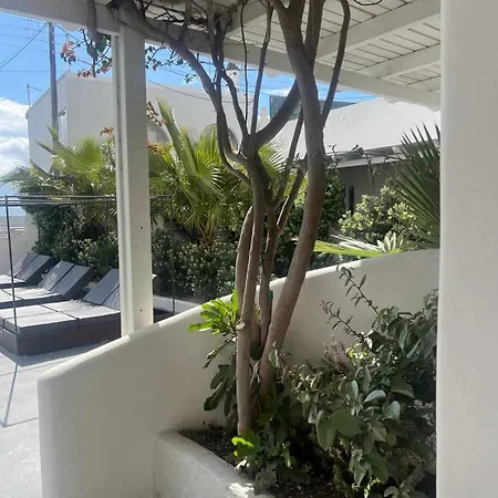 Hotel Ambience