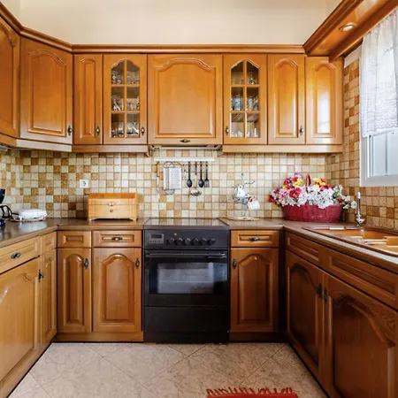 Apartment Pan Family House
